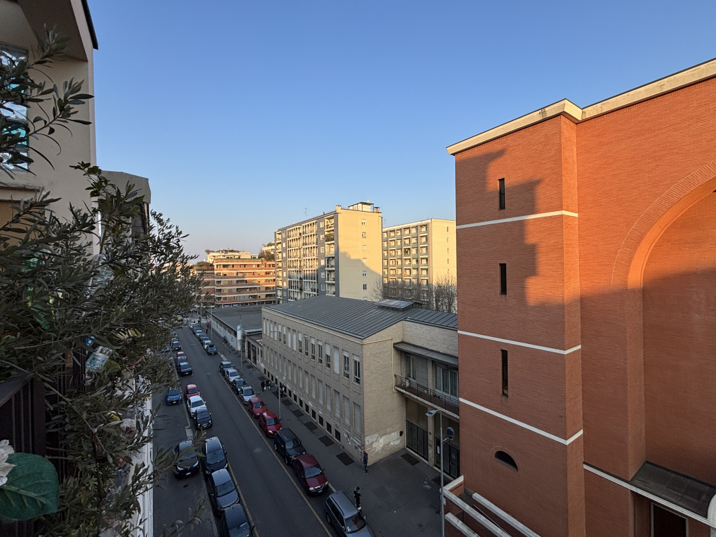 IMG_4974.jpeg